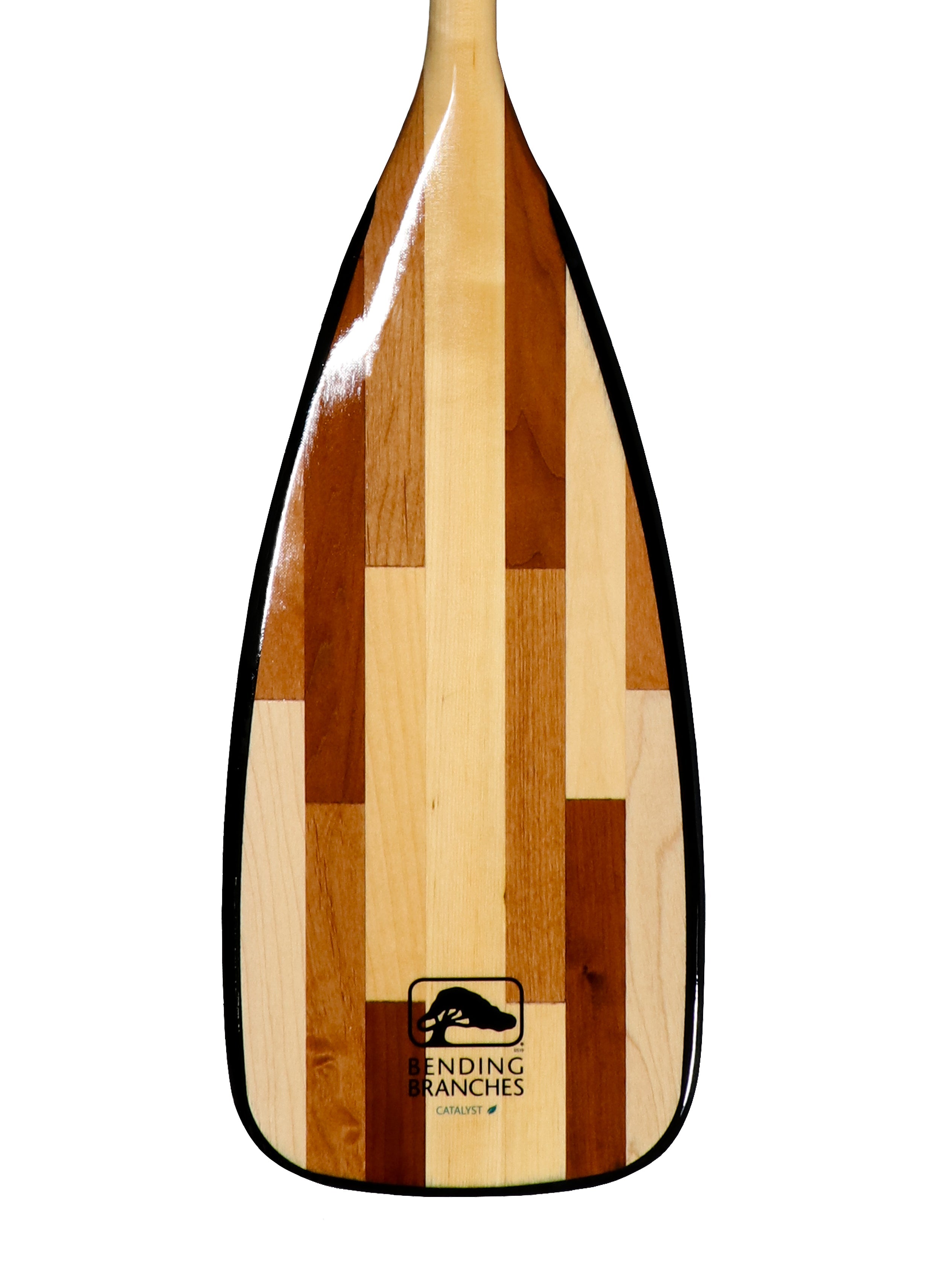 Bending Branches CATALYST ST